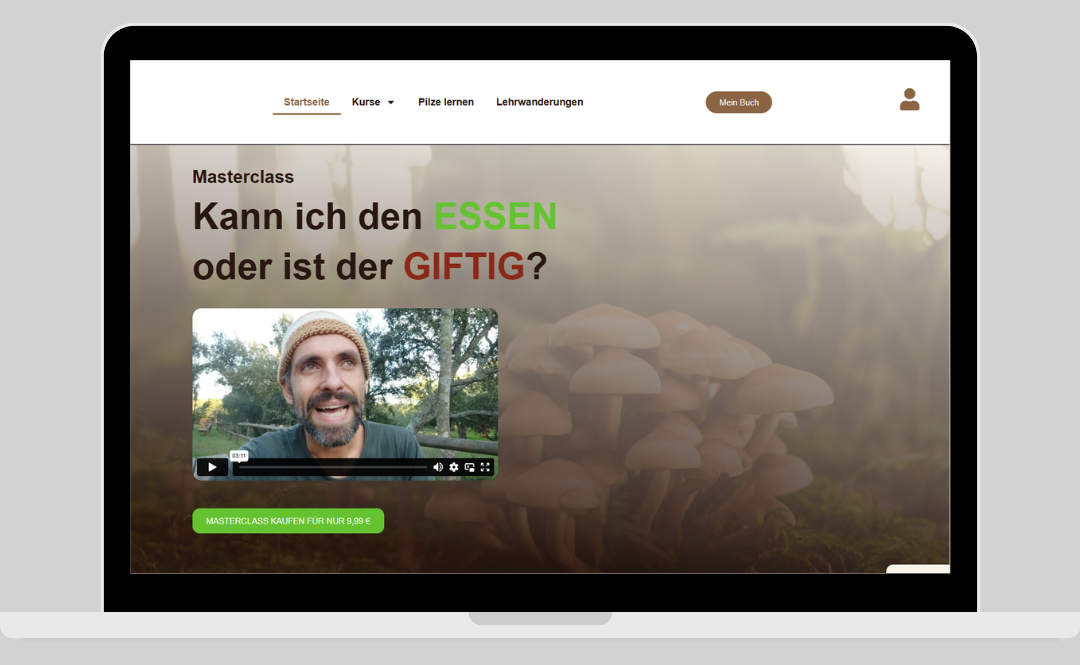 Referenz: Lamellenpilze